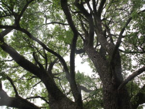 dscf4458